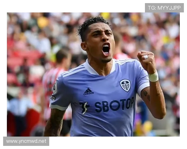 拉菲尼亚生涯天花板：进攻效率与战术适配性解析