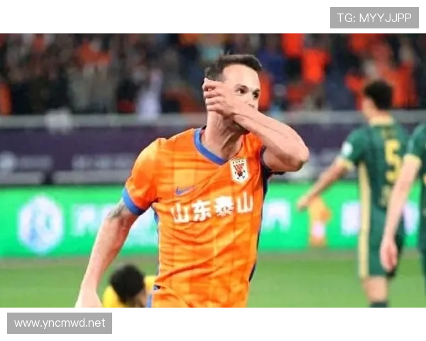 上海申花外援主导进攻现象及核心输出依赖，阶段性表现受限与球队稳定性面临考验